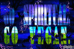 1641410095107.png