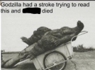 indir.png