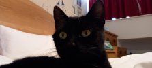 thumbnail_20220318_160247.jpg