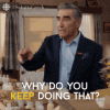 why-do-you-keep-doing-that-johnny-rose.gif