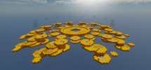 coins-solosw.jpg