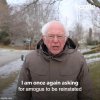bernie.jpg
