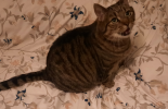 1661513243297.png