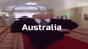 165A5A17-FE16-4C1B-A45B-F9E953B0197A.gif