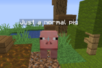 1673717287624.png