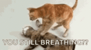 1685644975590.gif