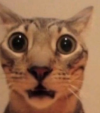1688849672739.png