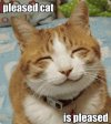 IMG_3451.jpeg