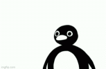 EBDCE955-DA85-4282-BB40-BFC21854FA06.gif