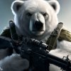 polar-bear-the-winter-soldier-v0-7vw09bo3nqeb1.jpg