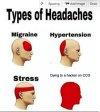 AD354DAD-A6C4-4C3A-9709-B81D842AFEBC.jpeg