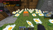Screenshot (31).png