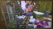 IMG_0347.jpeg