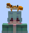 hat.png