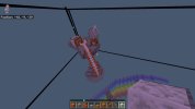 IMG_1088.jpeg