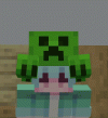 creeper-hat.gif