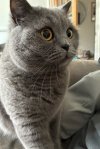 IMG_0930.jpeg