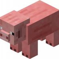 Disco Piggy