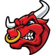Bullvin