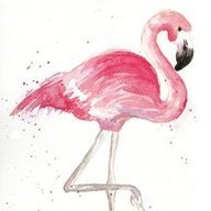 flamenco687