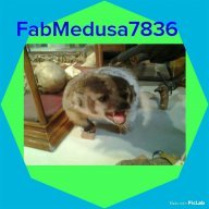 FaMedusa7836