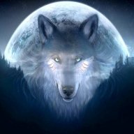 Alex_048