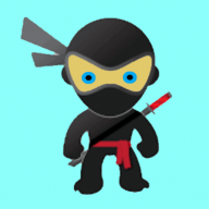 Stealth Ninja