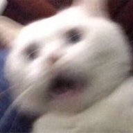 Catmeriow