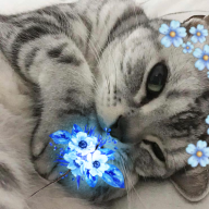 kittenangel7