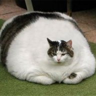 BroederPoes