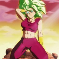 Diegorsonic30