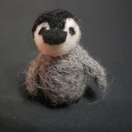 BobThePeinguin