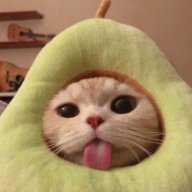 chrisushii
