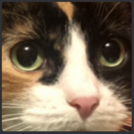 KittenWarrior_