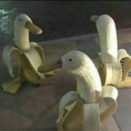 mrquackers_quack