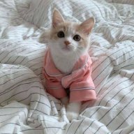Meowo