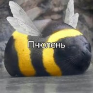 AngelIlusha~