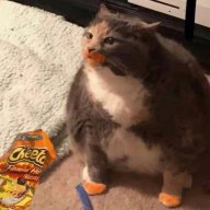 10nugg