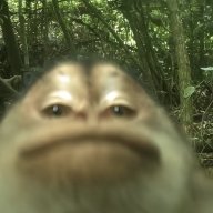 i9yi
