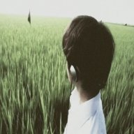 cchir8