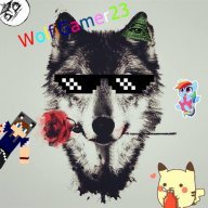 WolfiGamer23