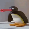Pinguisbae