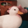 Duckphin