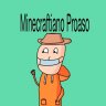 minecraftiano_proaso