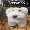 TerrorGX