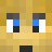 BdogwebsterFTW