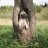 AABatteries104
