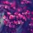 bad_kityy_123