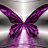 Butterflies4ever