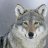 wolfhowl